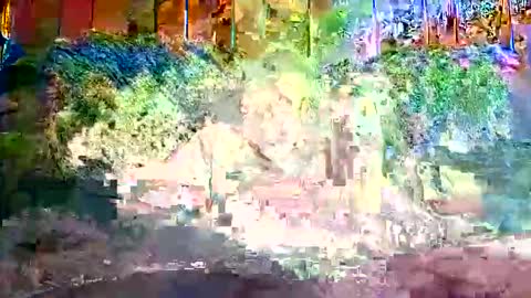 bigwytecock1979 online show from December 9, 2024, 1:24 pm