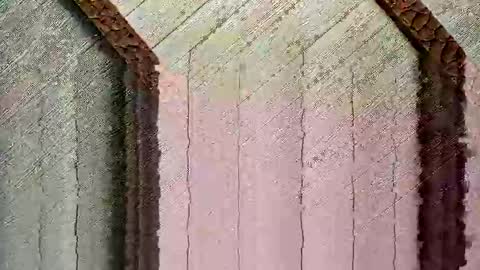 bigwytecock1979 online show from December 24, 2024, 4:30 pm