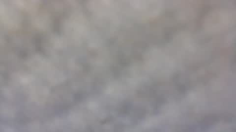 Snapshot of billmenow141 chatting on February 11, 2025, 10:04 am billmenow141 online show from February 11, 2025, 10:04 am