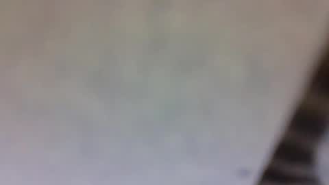 Snapshot of billmenow141 chatting on March 10, 2025, 10:59 am billmenow141 online show from March 10, 2025, 10:59 am