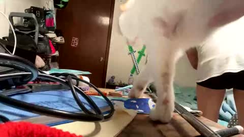 Manu O online show from November 9, 2025, 8:07 pm