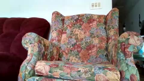 Brittany Bear online show from March 30, 2026, 5:58 pm