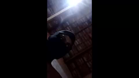 bittencourtgabriel online show from April 22, 2026, 3:09 am