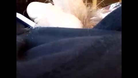 Snapshot of bjloversohard chatting on January 4, 2025, 4:33 am bjloversohard online show from January 4, 2025, 4:33 am