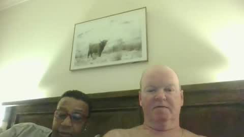 black_n_white4 online show from February 14, 2026, 11:29 am