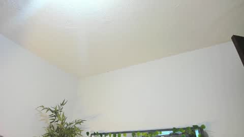 B L A C K  R O S E  online show from January 31, 2025, 11:35 am