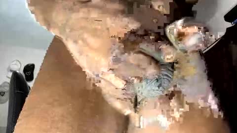 Snapshot of blackkingkerro1 chatting on November 29, 2025, 12:24 am Kerry Jones online show from November 29, 2025, 12:24 am