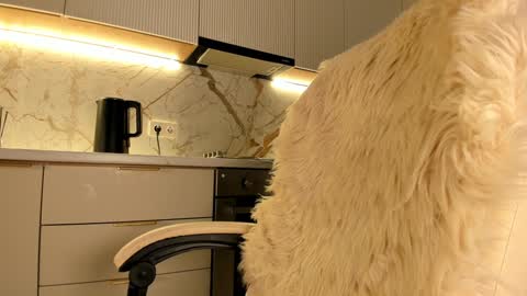 Karina online show from January 20, 2025, 7:36 am