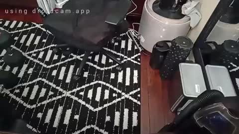 Blackjag00 online show from February 16, 2025, 7:49 pm