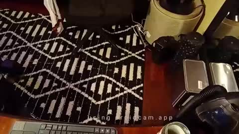 Blackjag00 online show from February 19, 2025, 7:06 am