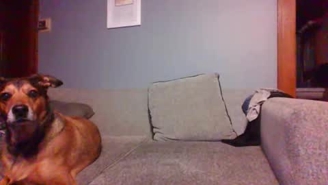 blaw_1321 online show from October 16, 2025, 7:20 am