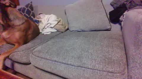 blaw_1321 online show from January 10, 2026, 7:04 pm