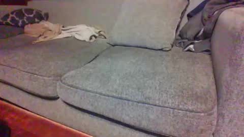 blaw_1321 online show from April 15, 2026, 7:37 am