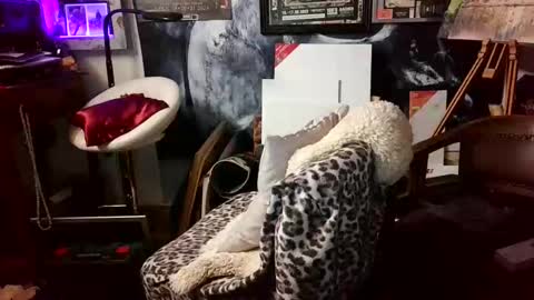 blindsurfer780299 online show from March 30, 2026, 5:08 am