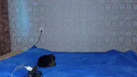 Snapshot of bloemetjes chatting on October 16, 2025, 10:00 pm bloemetjes online show from October 16, 2025, 10:00 pm