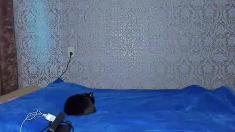 Snapshot of bloemetjes chatting on October 24, 2025, 5:04 am bloemetjes online show from October 24, 2025, 5:04 am