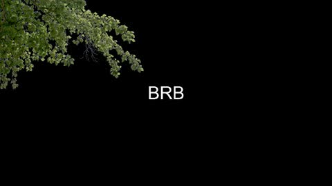 SONNYVAN online show from January 14, 2026, 10:25 pm