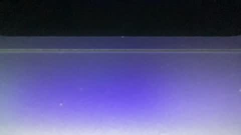 Snapshot of bluuuuuuub chatting on December 29, 2024, 11:08 pm bluuuuuuub online show from December 29, 2024, 11:08 pm