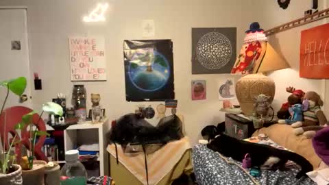 bobbyq2969 online show from November 13, 2025, 3:38 am