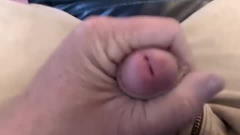 bobrossisalive online show from October 14, 2025, 6:47 am