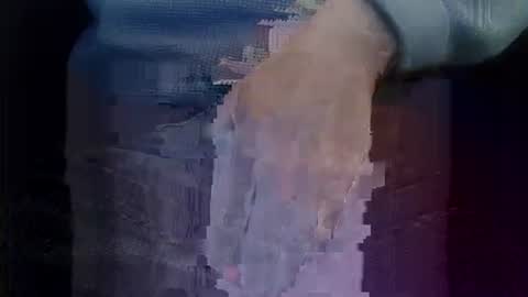 bogus25 online show from March 1, 2026, 9:28 pm