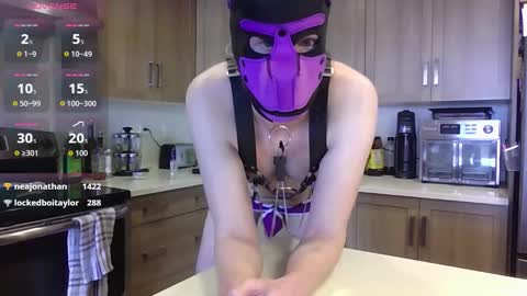 Snapshot of boiwonder420 chatting on March 12, 2026, 5:08 pm BoiWonder420 online show from March 12, 2026, 5:08 pm