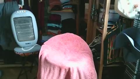 Bombero56 online show from December 15, 2025, 3:16 pm