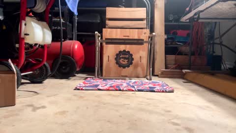 FRECKLES online show from February 20, 2025, 11:53 am