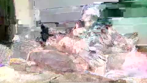boner4you1994 online show from June 16, 2026, 11:51 pm