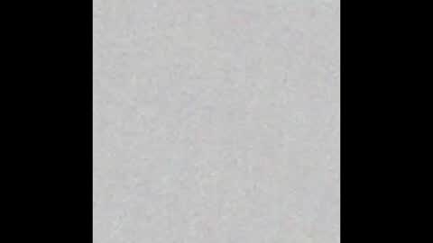 bonnie online show from January 24, 2025, 11:37 am