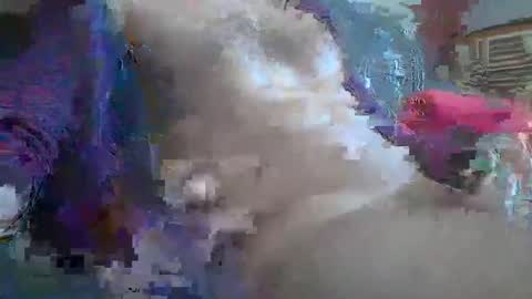 bonnieclyde90 online show from October 12, 2025, 10:58 am