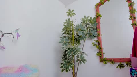   online show from March 22, 2026, 11:30 pm