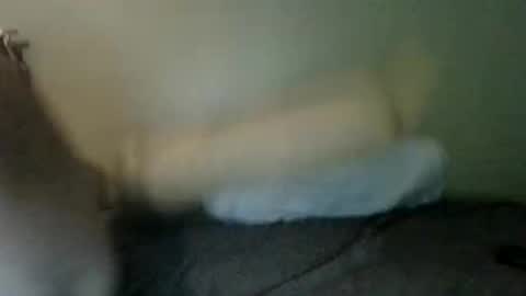 booboobumbum1 online show from June 9, 2026, 7:14 pm