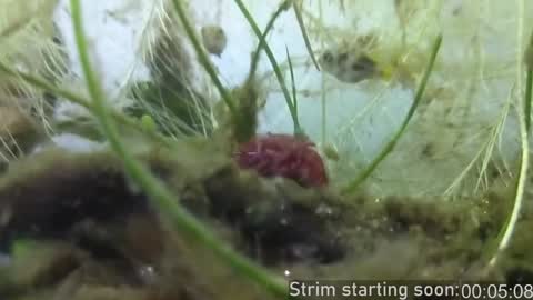 Booker Baxton online show from December 29, 2024, 4:05 am