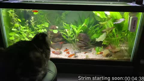 Booker Baxton online show from February 9, 2025, 4:04 am