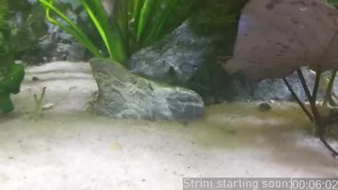 Booker Baxton online show from March 12, 2025, 3:02 am