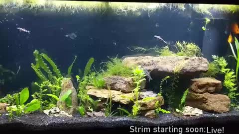 Booker Baxton online show from September 19, 2025, 3:08 am