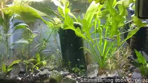 Booker Baxton online show from November 9, 2025, 4:00 am