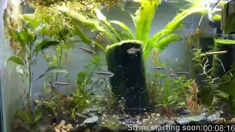 Booker Baxton online show from December 23, 2025, 3:59 am