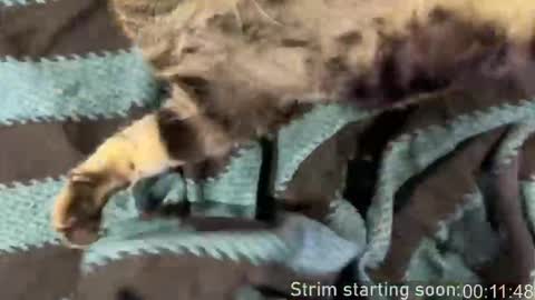 Booker Baxton online show from March 15, 2026, 3:01 am