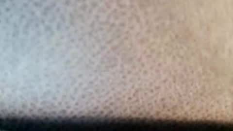 Snapshot of boolika chatting on March 11, 2025, 10:53 pm Boolika online show from March 11, 2025, 10:53 pm