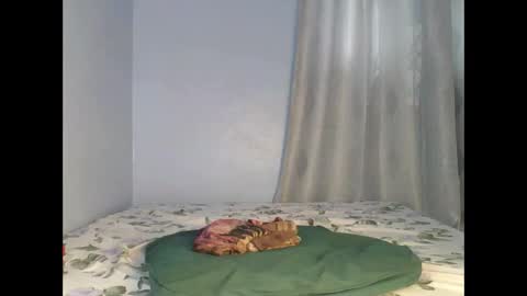 Snapshot of booty_panther chatting on September 26, 2025, 6:50 am sandrah online show from September 26, 2025, 6:50 am