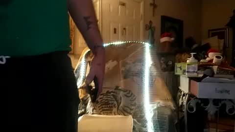 boredaf6678 online show from December 25, 2024, 9:34 am