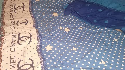 Snapshot of bossetassy chatting on April 9, 2026, 3:17 am bossetassy online show from April 9, 2026, 3:17 am