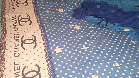 Snapshot of bossetassy chatting on April 9, 2026, 4:01 pm bossetassy online show from April 9, 2026, 4:01 pm