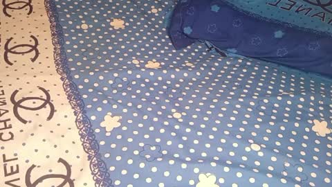 Snapshot of bossetassy chatting on April 10, 2026, 5:17 pm bossetassy online show from April 10, 2026, 5:17 pm