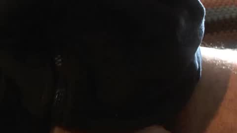 Snapshot of bossram160 chatting on March 6, 2025, 9:36 am bossram160 online show from March 6, 2025, 9:36 am