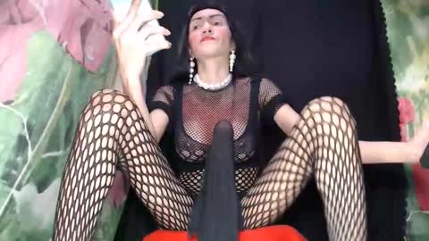 A M A N D A  MONSTERCOCK online show from October 2, 2025, 6:31 am