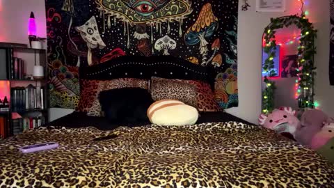 Puddin online show from February 23, 2025, 12:37 pm