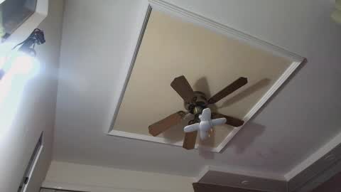 bradkith27 online show from November 26, 2025, 2:23 am